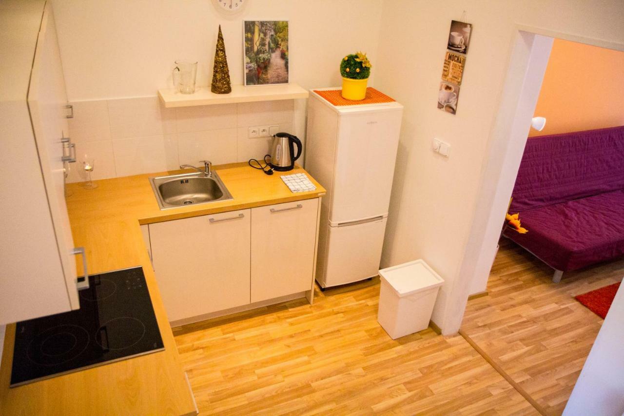 Lidicka Apartment ปราก ภายนอก รูปภาพ